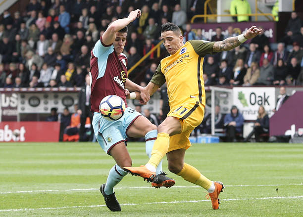 冬季运动的 冬季运动的