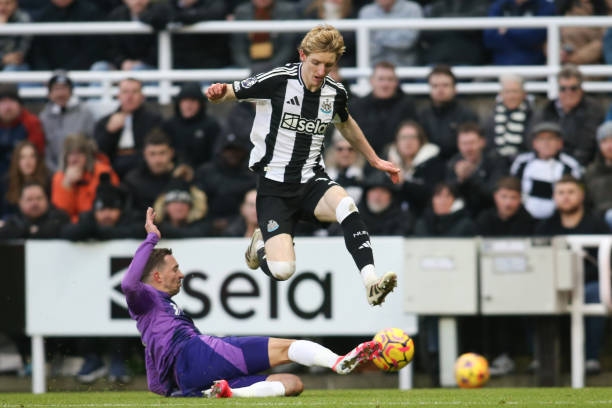 显得费用悬 显得费用悬