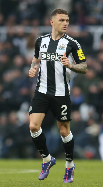 当猛龙与爵 当猛龙与爵